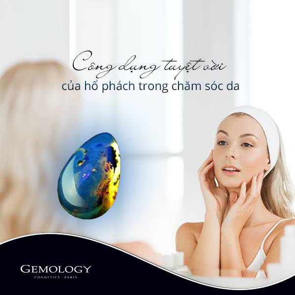 Bạn có biết về CÔNG DỤNG TUYỆT VỜI của hổ phách?
